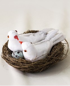 Tekli Sert Peluş Yuva İçerisinde Güvercin  